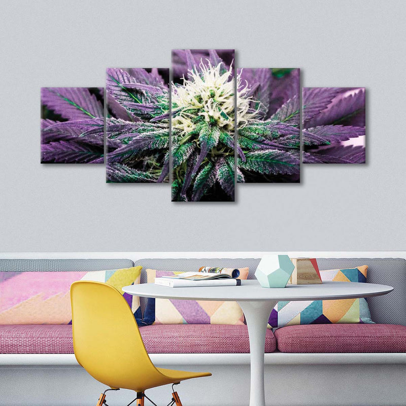 Rare Cannabis Plant Wall Art