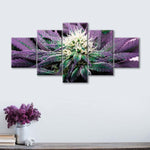 Rare Cannabis Plant Wall Art