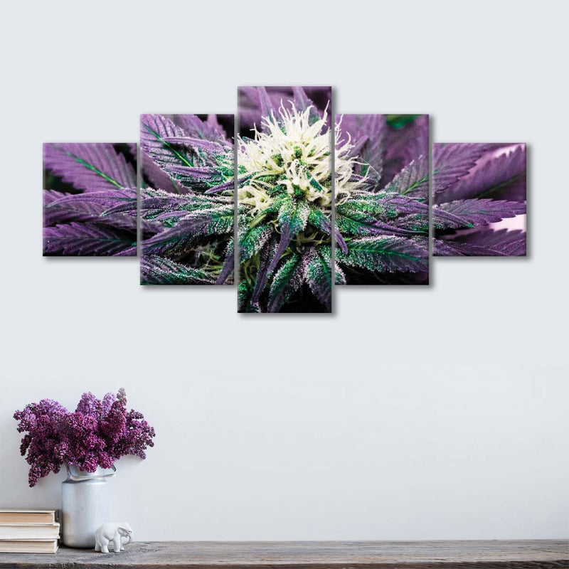 Rare Cannabis Plant Wall Art