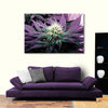 Rare Cannabis Plant Wall Art