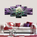 Rare Cannabis Plant Wall Art