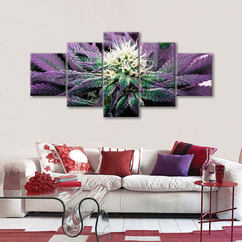 Rare Cannabis Plant Wall Art
