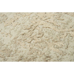 Artistry Beige Rug