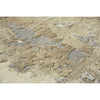 Artistry Beige Rug