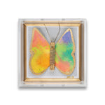 Sunset Butterfly by Dana Manly