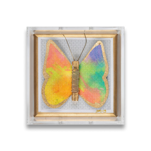 Sunset Butterfly by Dana Manly