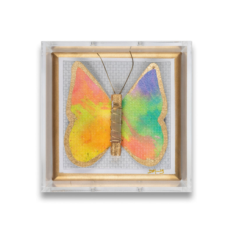 Sunset Butterfly by Dana Manly