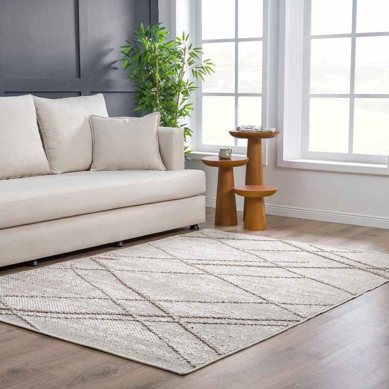 Baqer Bone & Tan Area Rug