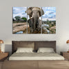 Safari Elephants Wall Art