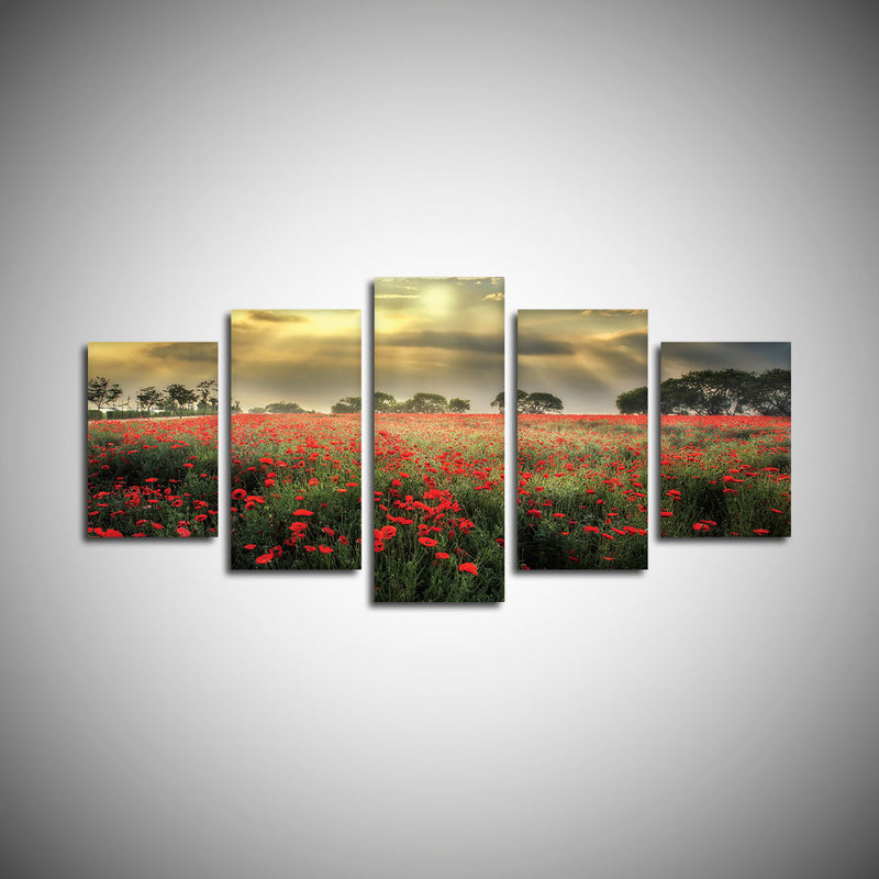 Scandinavian Poppy Field Wall Art