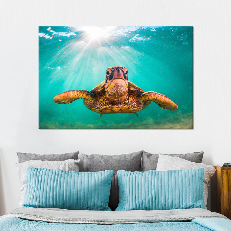 Maui Green Turtle Wall Art