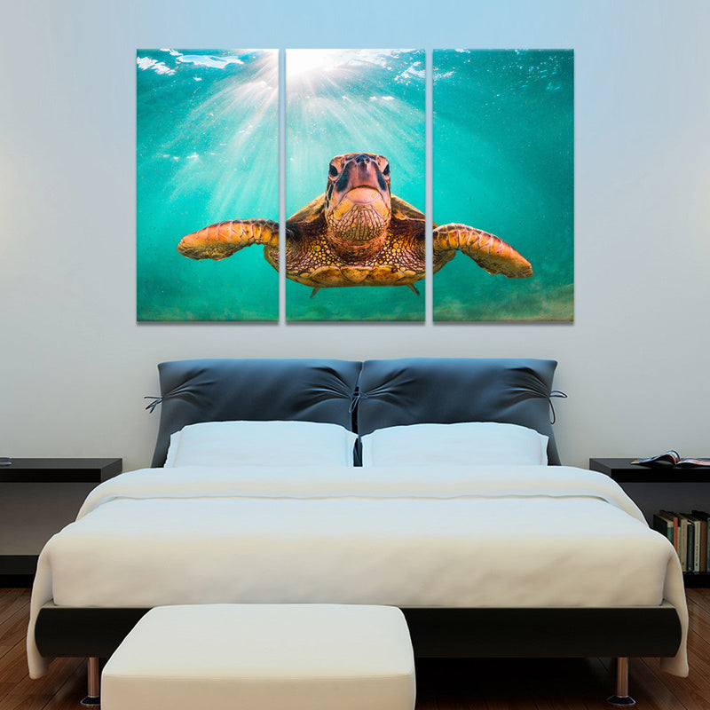 Maui Green Turtle Wall Art