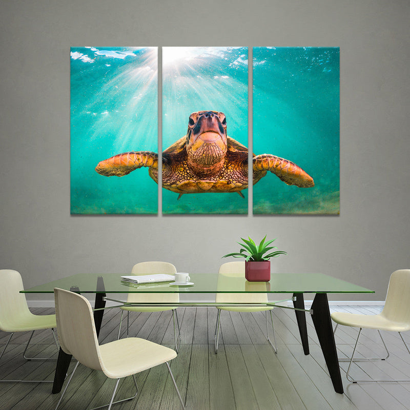 Maui Green Turtle Wall Art