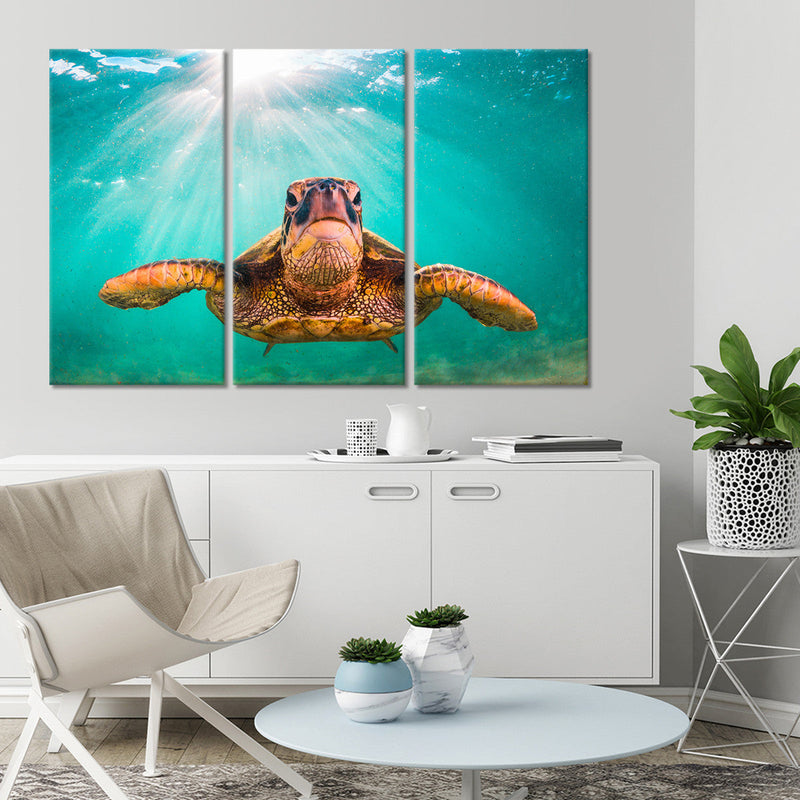 Maui Green Turtle Wall Art