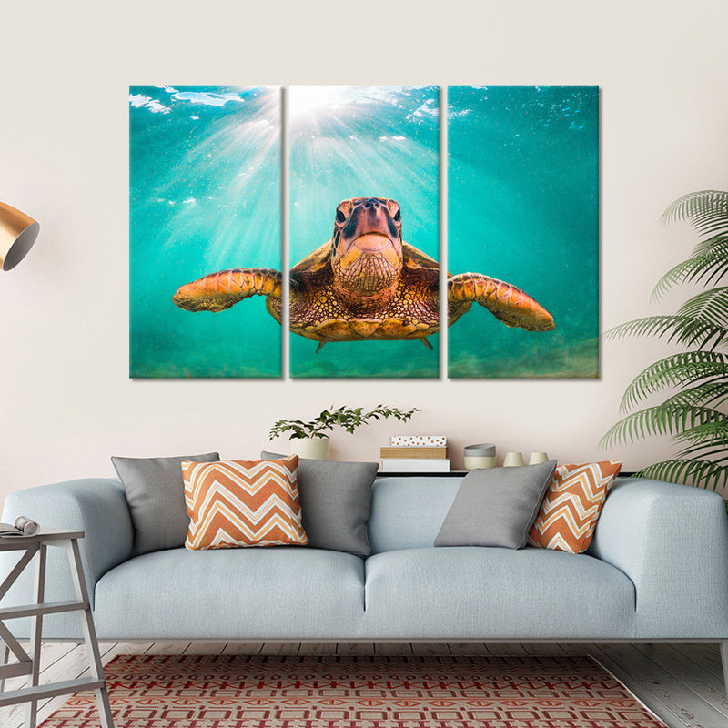 Maui Green Turtle Wall Art