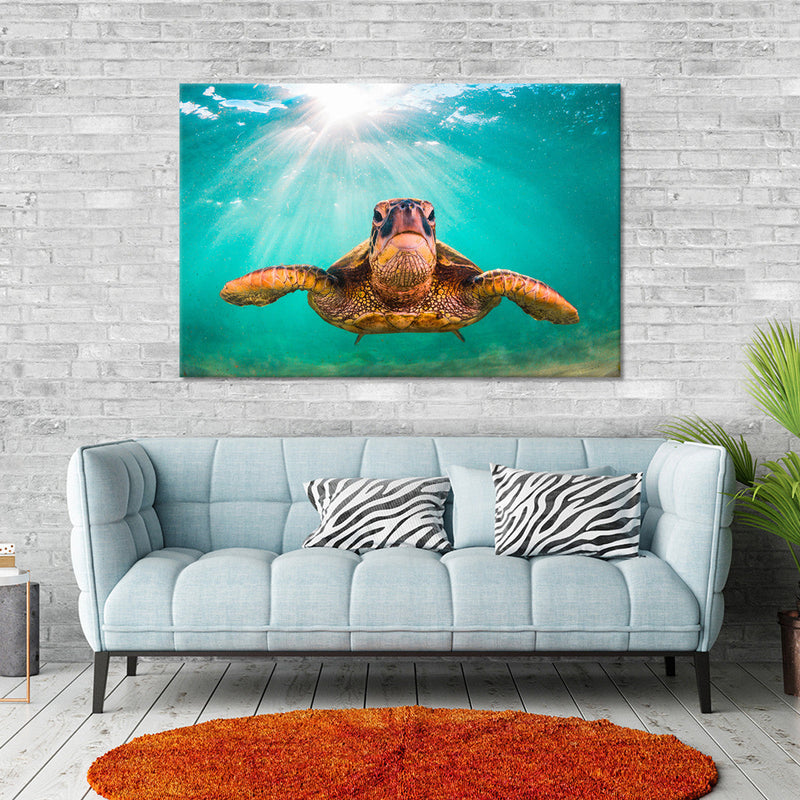 Maui Green Turtle Wall Art