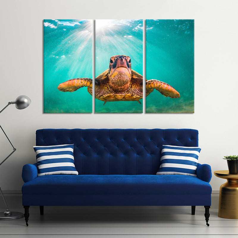 Maui Green Turtle Wall Art