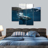 Shark Sunshine Wall Art