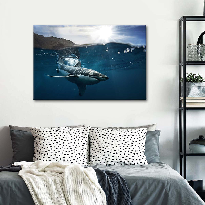 Shark Sunshine Wall Art