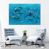Shiver Of Sharks Wall Art