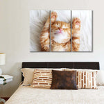 Sleepy Kitty Wall Art