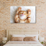 Sleepy Kitty Wall Art