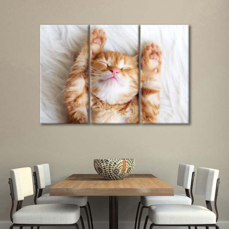 Sleepy Kitty Wall Art
