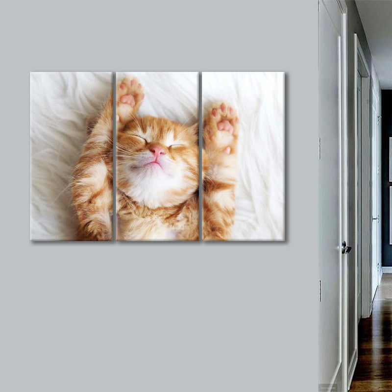 Sleepy Kitty Wall Art