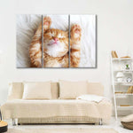 Sleepy Kitty Wall Art
