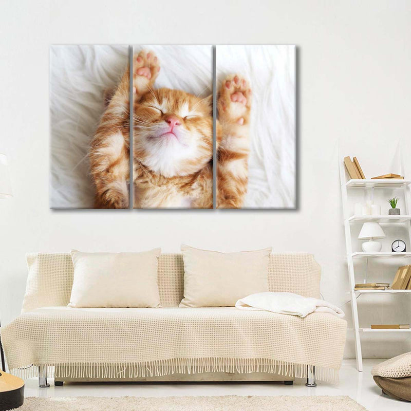 Sleepy Kitty Wall Art