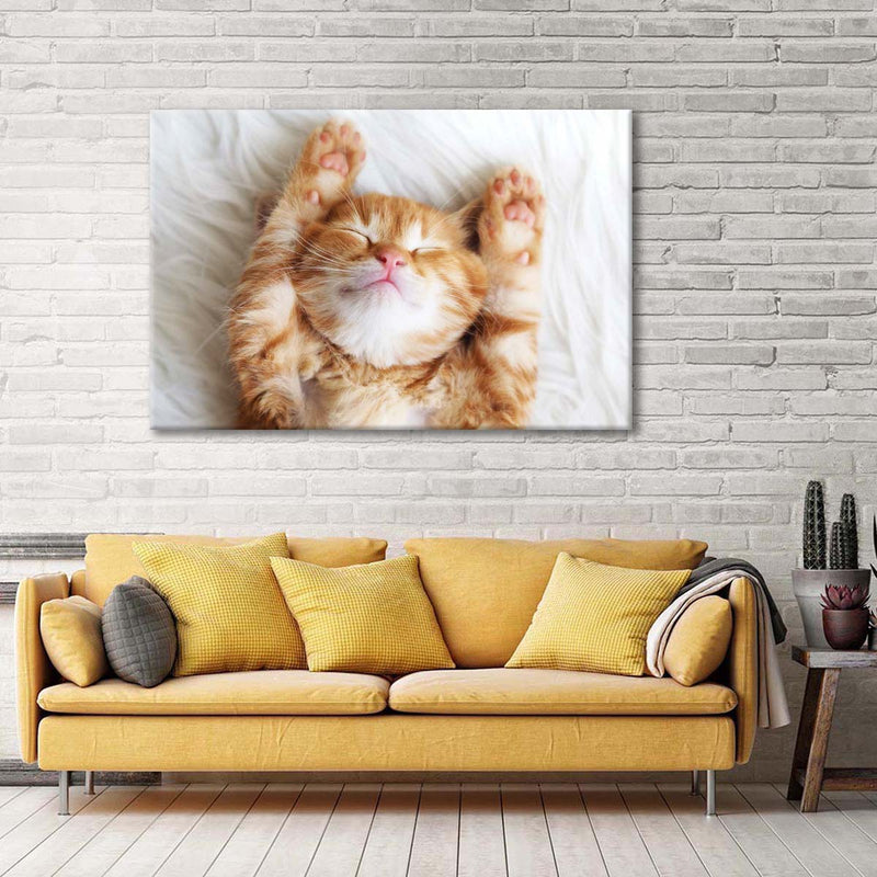 Sleepy Kitty Wall Art
