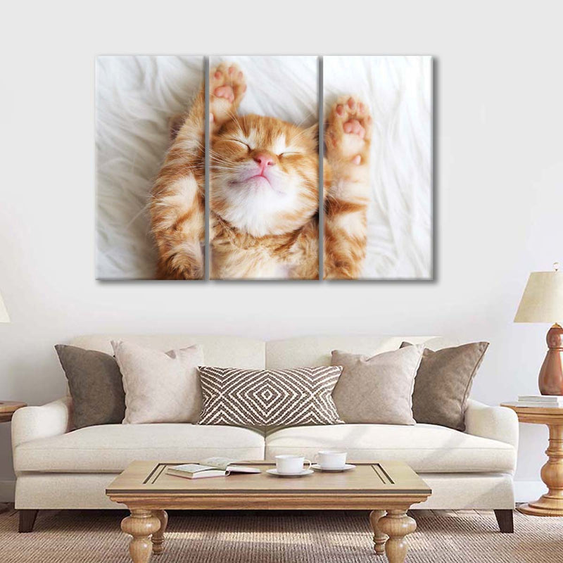 Sleepy Kitty Wall Art