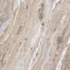 Sophie Creamy Taupe Marble End Table | shipping 7/14/2025