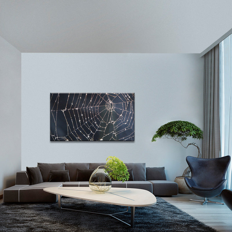 Spider Web Wall Art