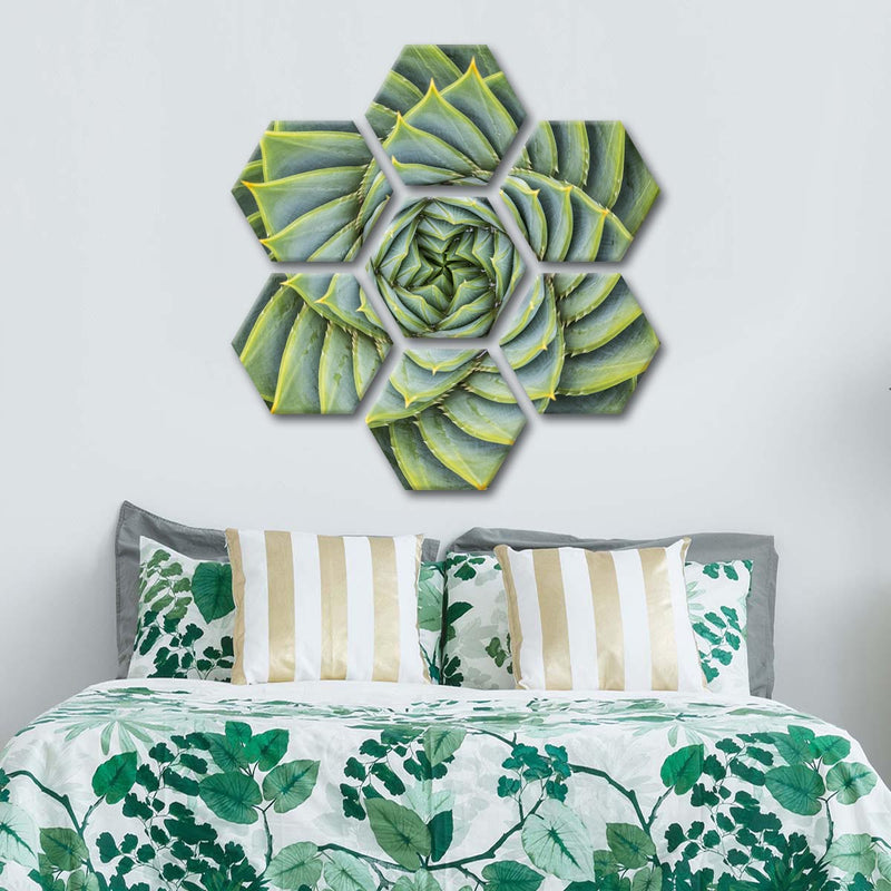 Spiral Succulent Wall Art