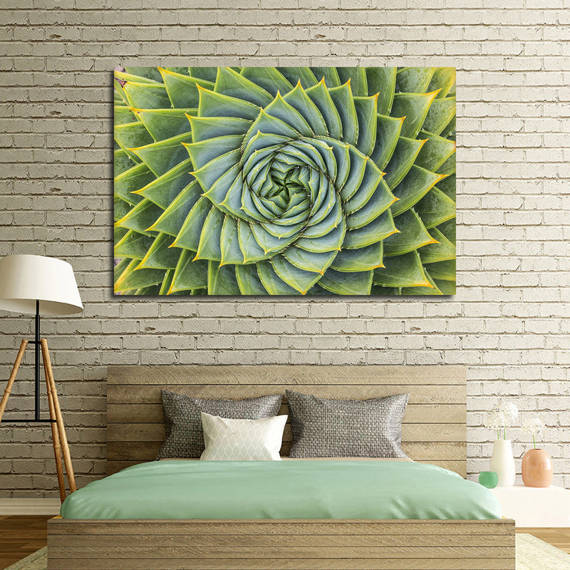 Spiral Succulent Wall Art