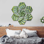 Spiral Succulent Wall Art