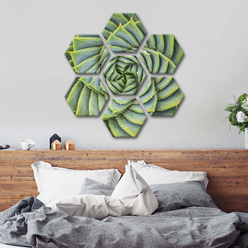 Spiral Succulent Wall Art