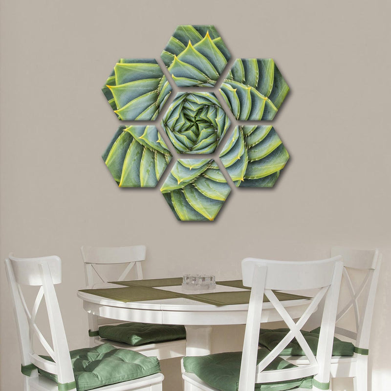 Spiral Succulent Wall Art