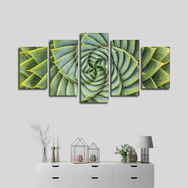 Spiral Succulent Wall Art