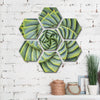 Spiral Succulent Wall Art
