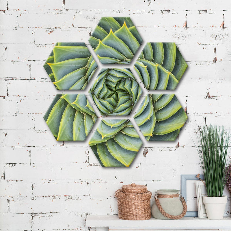 Spiral Succulent Wall Art