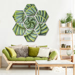 Spiral Succulent Wall Art