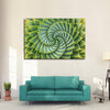 Spiral Succulent Wall Art