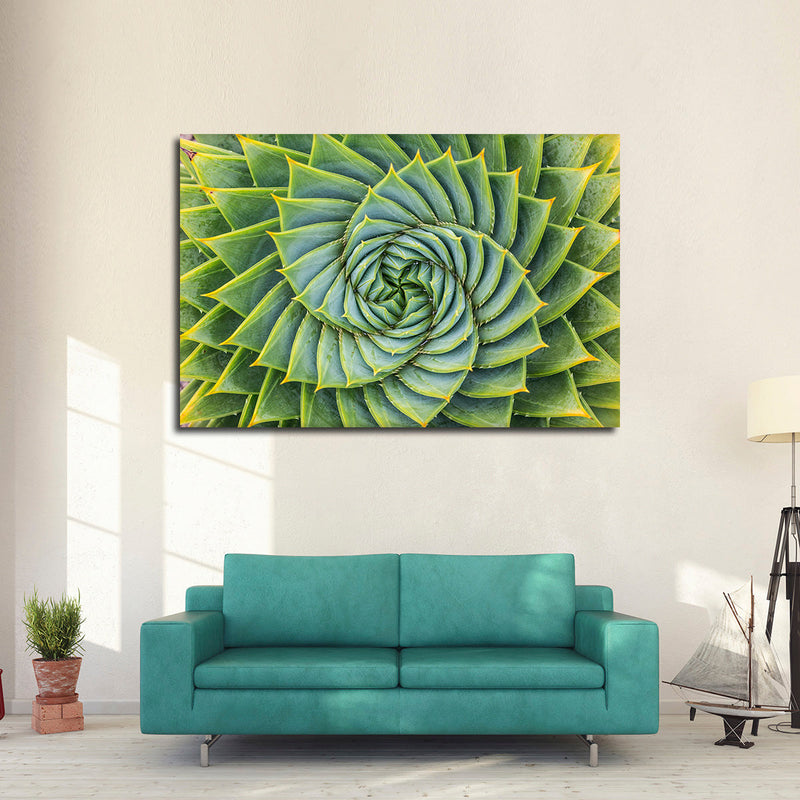 Spiral Succulent Wall Art