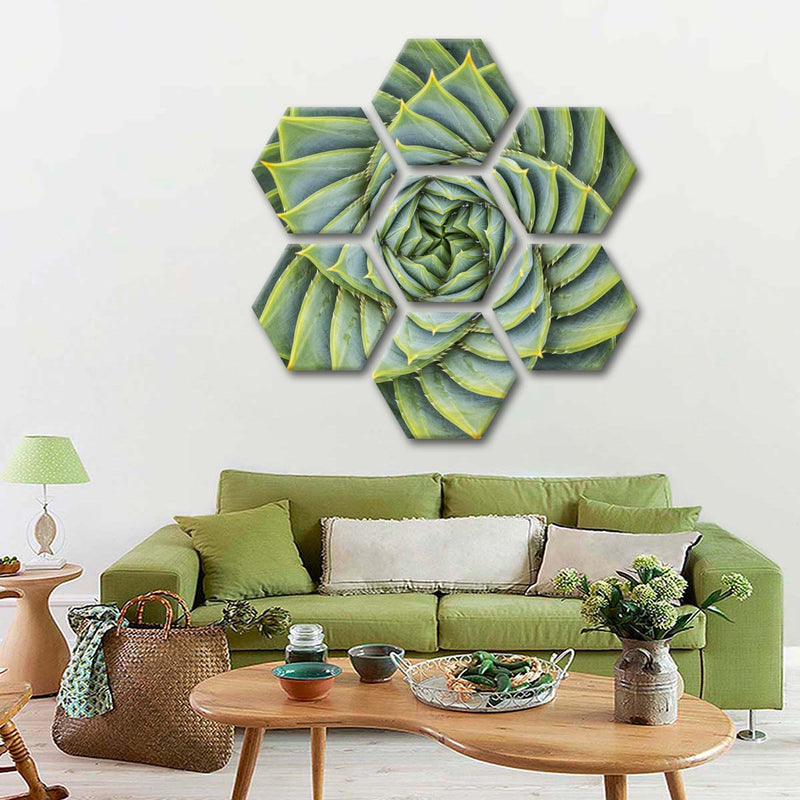 Spiral Succulent Wall Art
