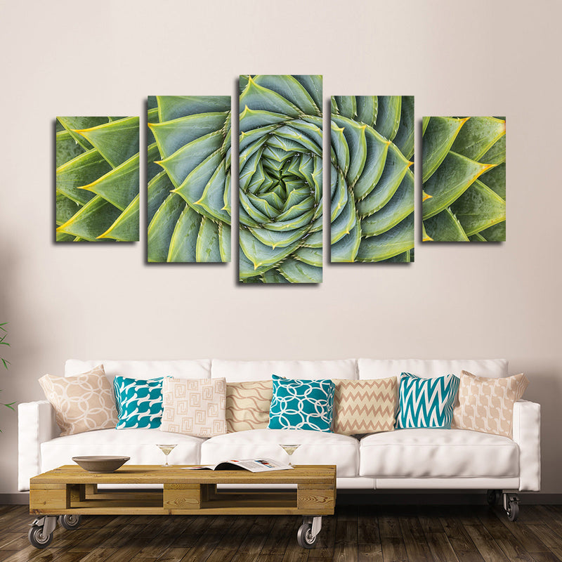 Spiral Succulent Wall Art