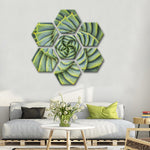 Spiral Succulent Wall Art