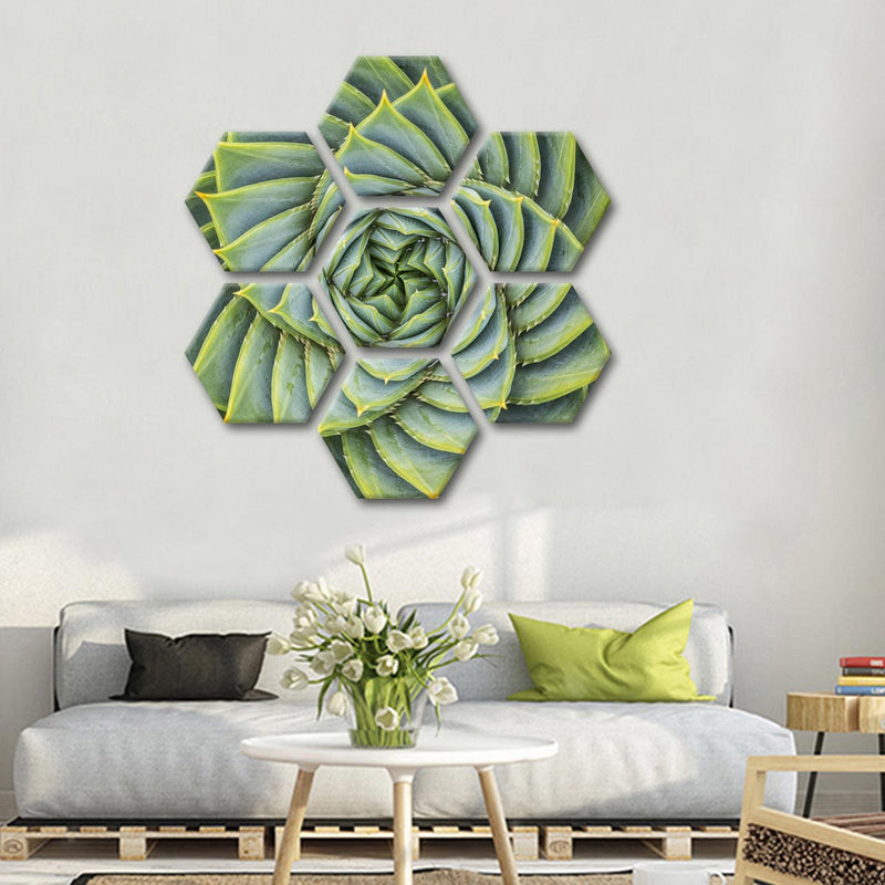 Spiral Succulent Wall Art