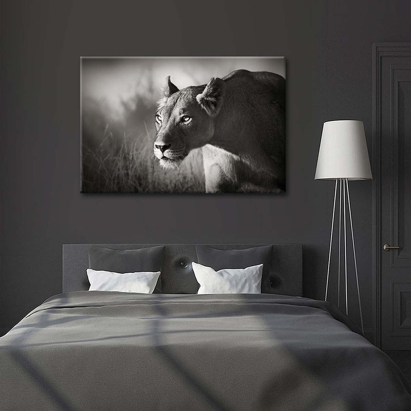 Stalking Lioness Wall Art